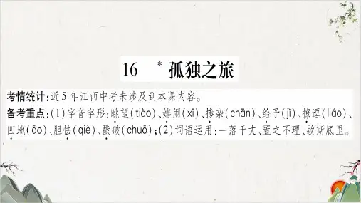 人教部编版九年级语文上册-16 孤独之旅-PPT精品课件