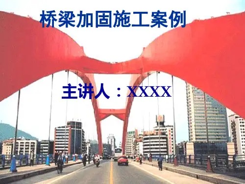 宜宾小南门金沙江大桥加固