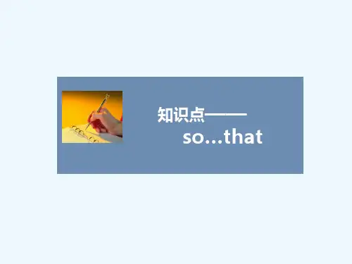 知识点—— so…that