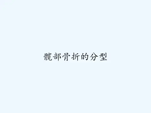 髋部骨折的分型ppt