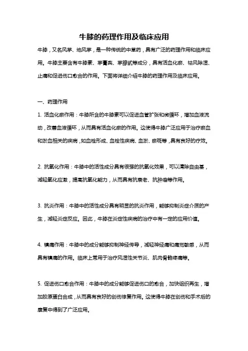 牛膝的药理作用及临床应用