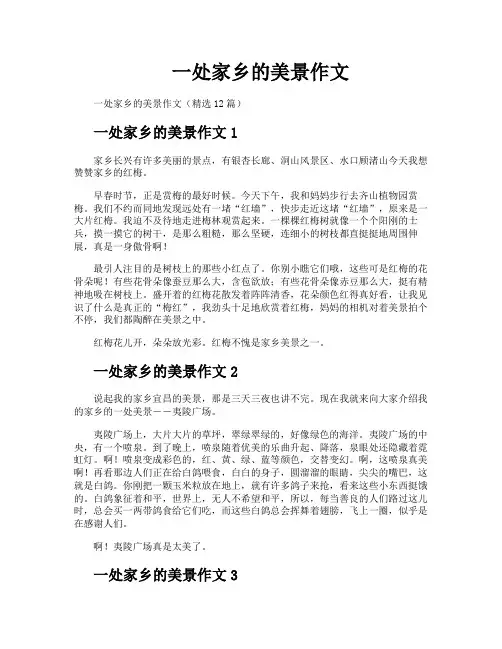 一处家乡的美景作文