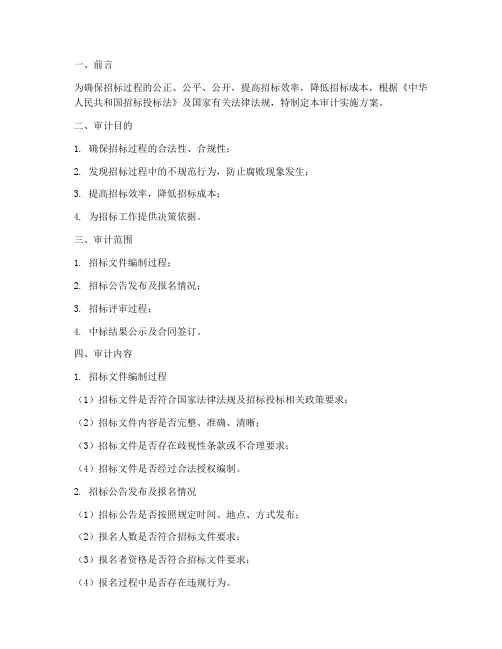 招标文件中审计实施方案