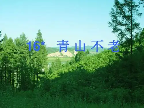 青山不老 (2)