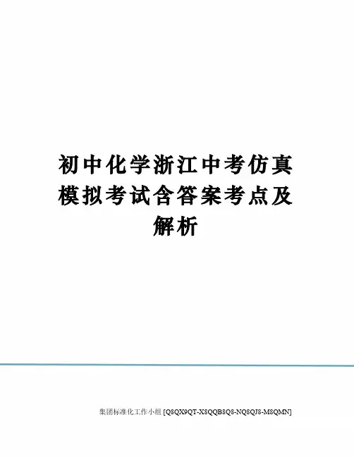 初中化学浙江中考仿真模拟考试含答案考点及解析