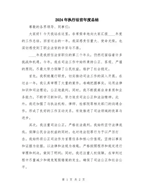2024年执行法官年度总结