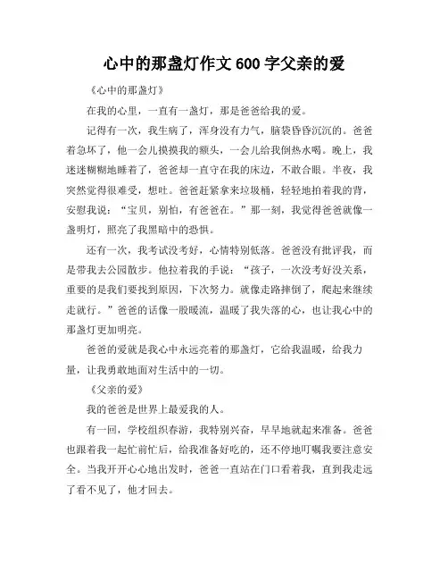 心中的那盏灯作文600字父亲的爱
