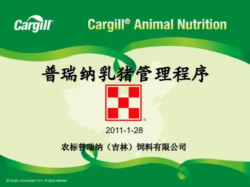 乳猪饲养管理 ppt课件