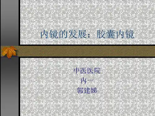 胶囊内镜PPT