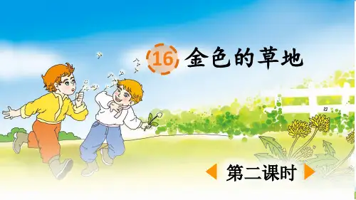 金色的草地ppt课件