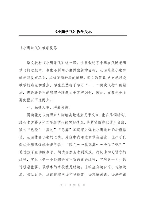 《小鹰学飞》教学反思
