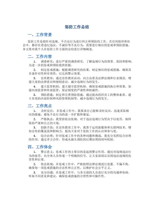 惩防工作总结