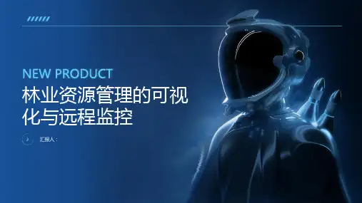 林业资源管理的可视化与远程监控