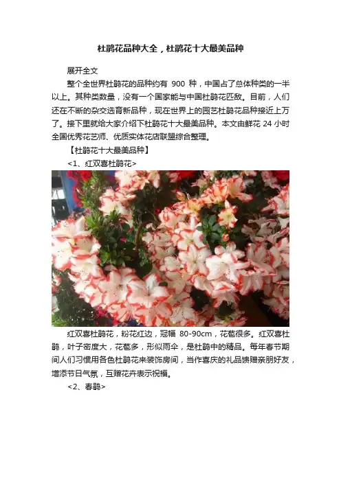 杜鹃花品种大全，杜鹃花十大最美品种