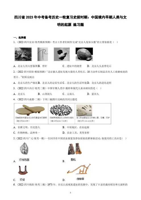 四川省2023年中考备考历史一轮复习史前时期：中国境内早期人类与文明的起源 练习题(含解析)