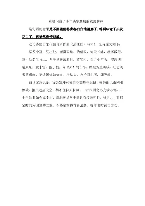 莫等闲白了少年头空悲切的意思解释