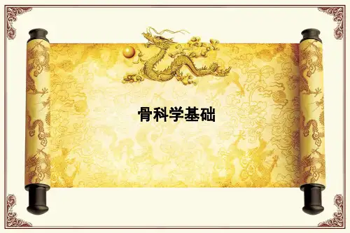 骨科基础知识ppt课件