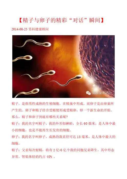 【精子与卵子的精彩“对话”瞬间】