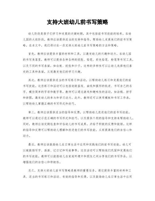 支持大班幼儿前书写策略