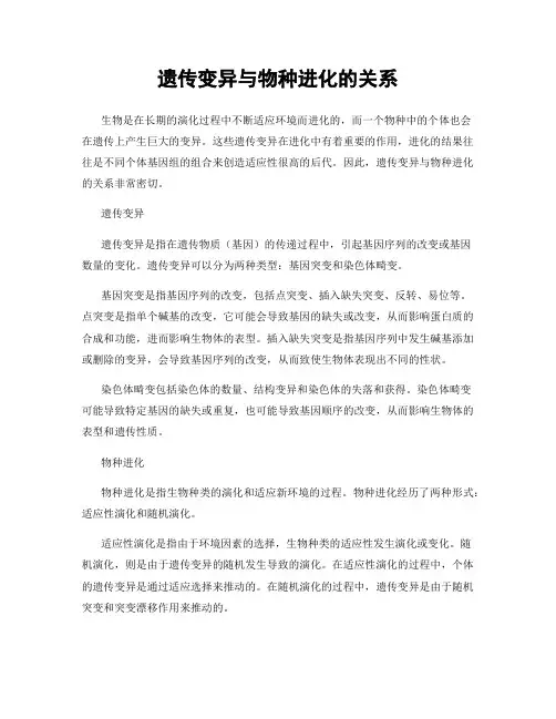遗传变异与物种进化的关系