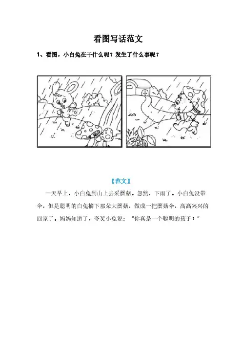 看图写话范文