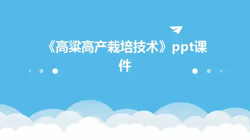 《高粱高产栽培技术》课件