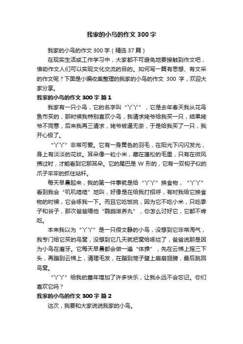 我家的小鸟的作文300字（精选37篇）