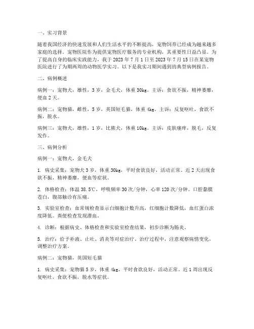 动物医学实习病例报告