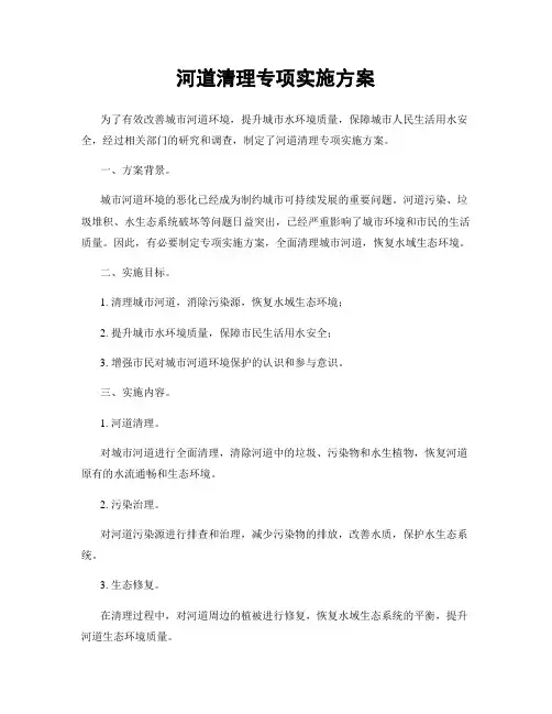 河道清理专项实施方案