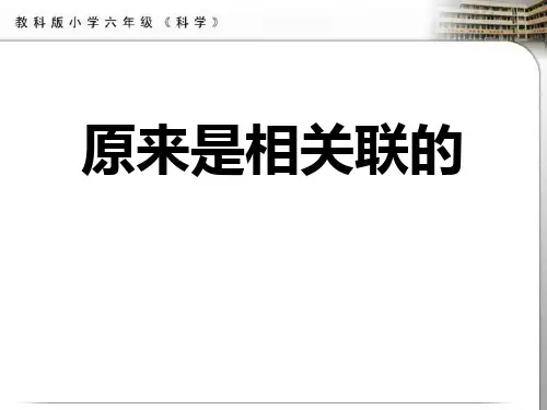 教科版六年级科学上册 (原来是相关联的)生物的多样性新课件教学
