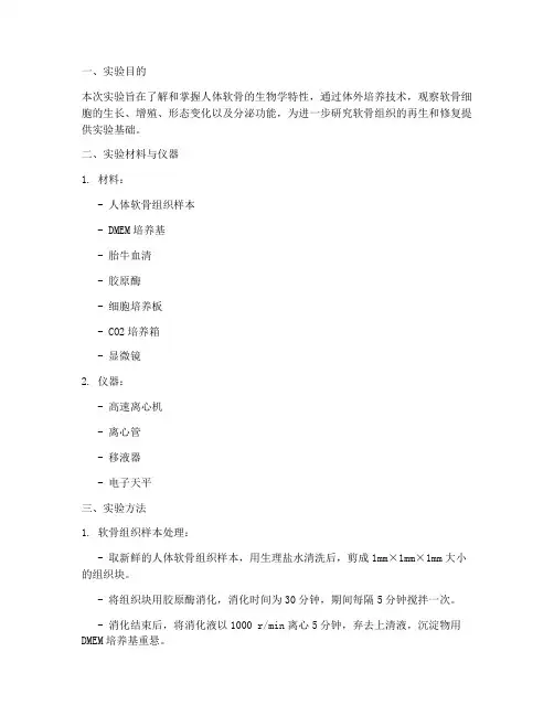 人体软骨培养实验报告