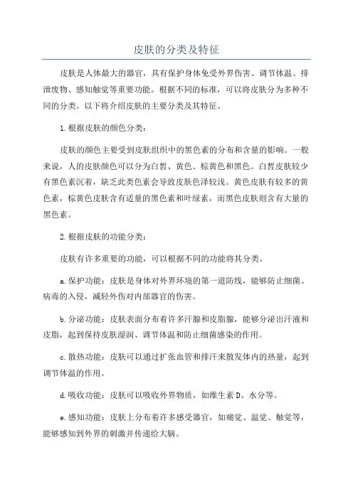 皮肤的分类及特征