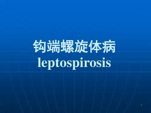 钩端螺旋体病ppt课件