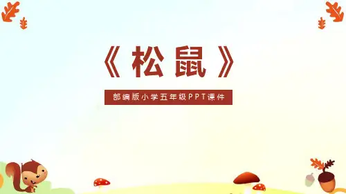 17.《松鼠》  完美版课件