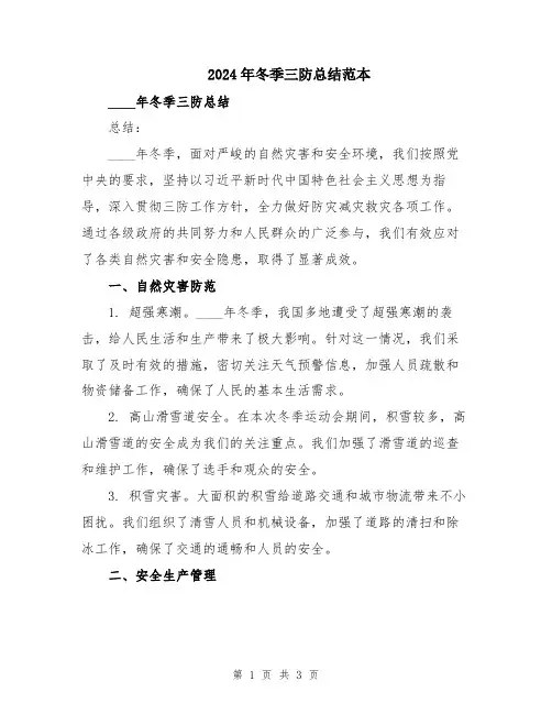 2024年冬季三防总结范本