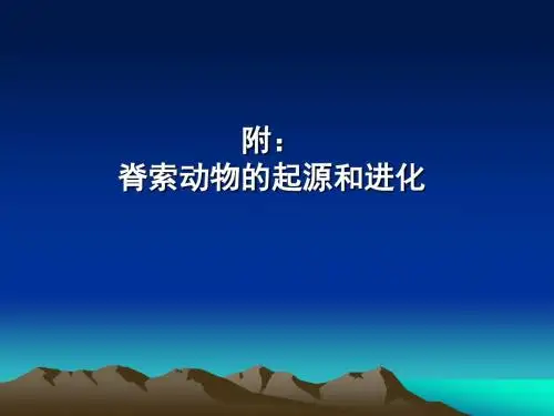 第二十一章脊索动物的起源和进化