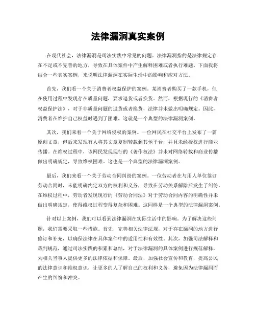 法律漏洞真实案例