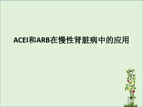 ACEI和ARB在慢性肾脏病中的应用.