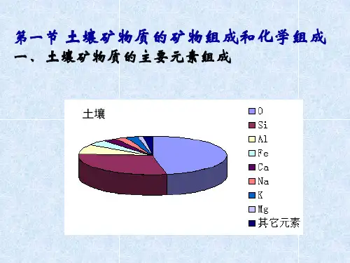 土壤矿物质1