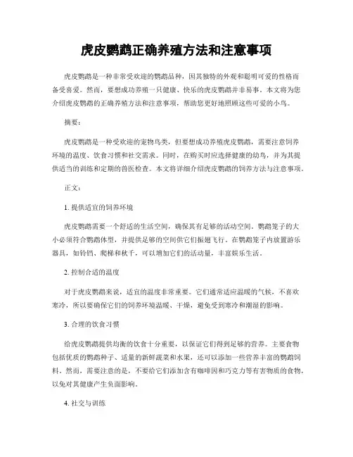 虎皮鹦鹉正确养殖方法和注意事项