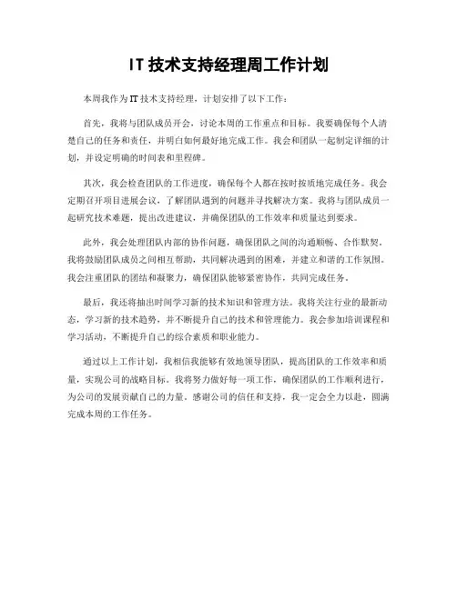 IT技术支持经理周工作计划