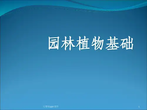 园林植物学基础ppt课件
