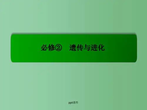 高考生物总复习 3.24现代生物进化理论 新人教版必修2