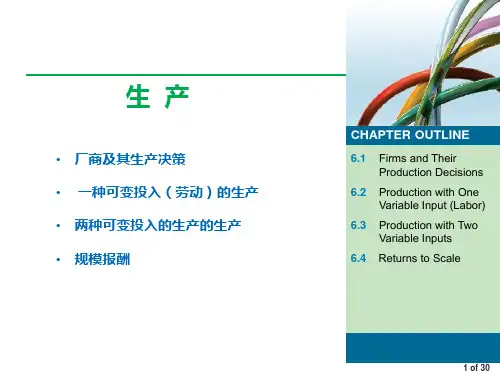 微观经济学(第八版)课件：生产