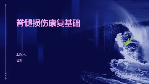 脊髓损伤康复基础