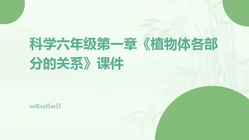 科学六年级第一章《植物体各部分的关系》课件