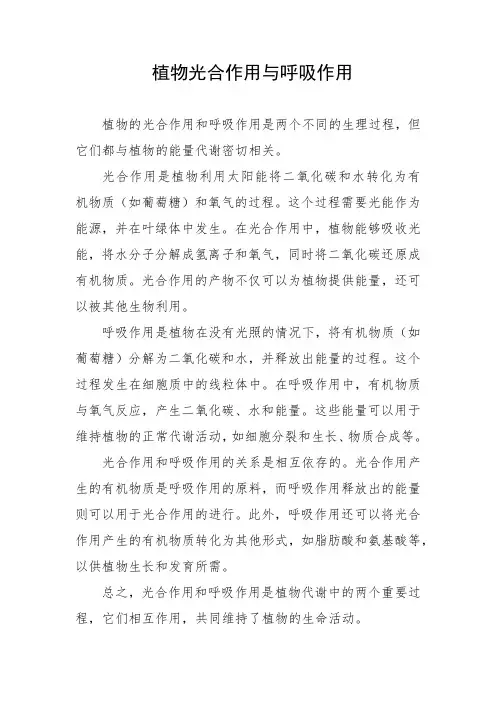 植物光合作用与呼吸作用