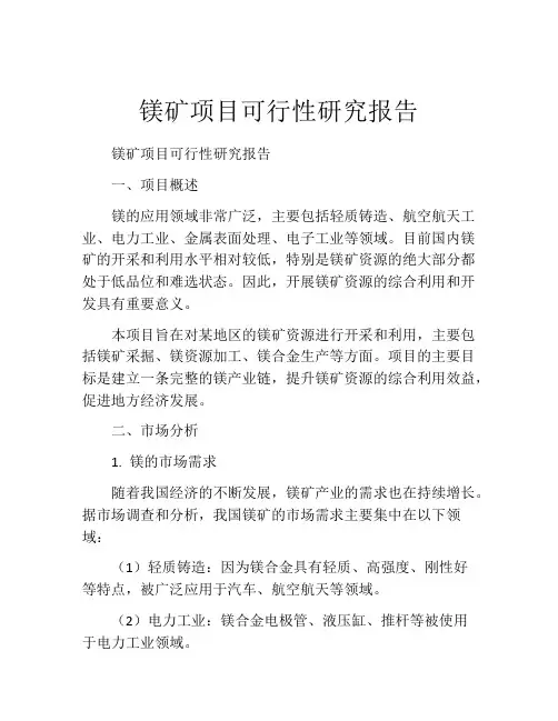 镁矿项目可行性研究报告