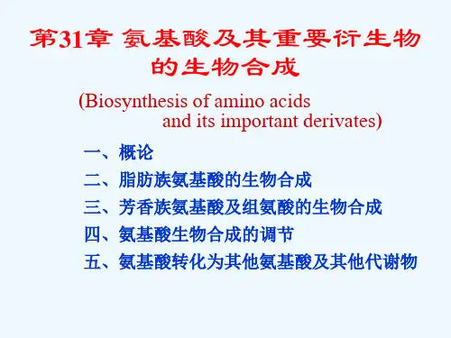 生物化学第31章氨基酸及其重要衍生物的生物合成.ppt