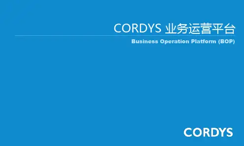 数据平台_OpentextBOP_公司产品介绍.